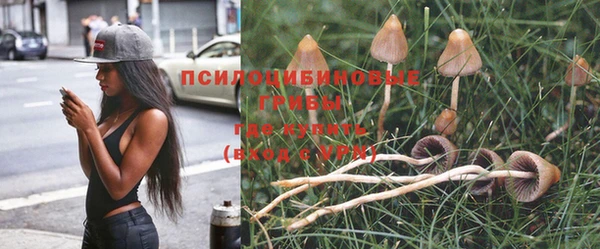 стаф Беломорск